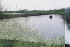 03_bassin_v2