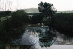 08_pincanal_v2