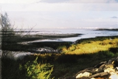 11_bassin_pierres_v2